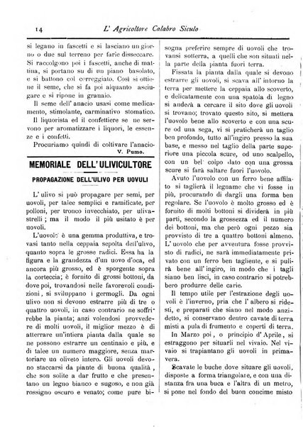 L'agricoltore calabro siculo giornale di agricoltura pratica