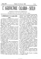 giornale/CFI0425650/1896/unico/00000041