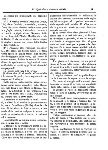 L'agricoltore calabro siculo giornale di agricoltura pratica