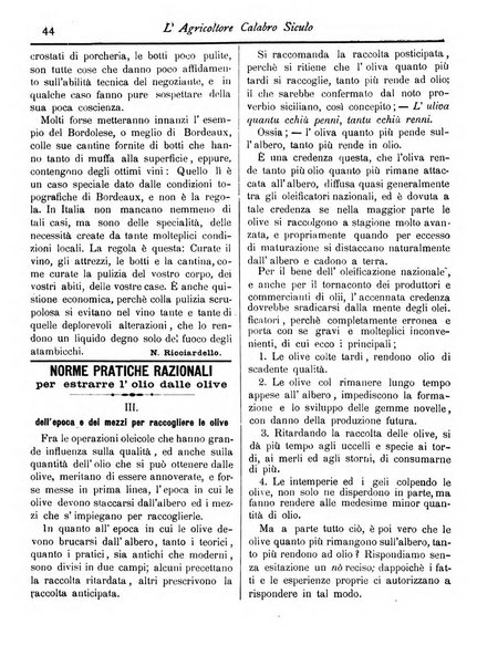 L'agricoltore calabro siculo giornale di agricoltura pratica