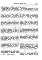 giornale/CFI0425650/1896/unico/00000101