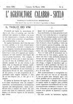 giornale/CFI0425650/1896/unico/00000117