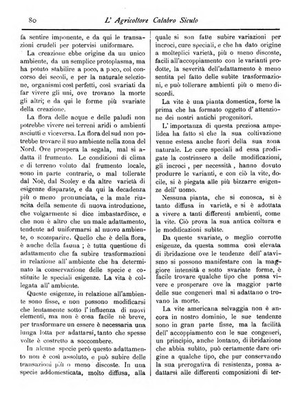 L'agricoltore calabro siculo giornale di agricoltura pratica