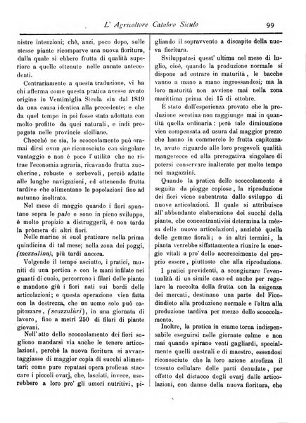 L'agricoltore calabro siculo giornale di agricoltura pratica