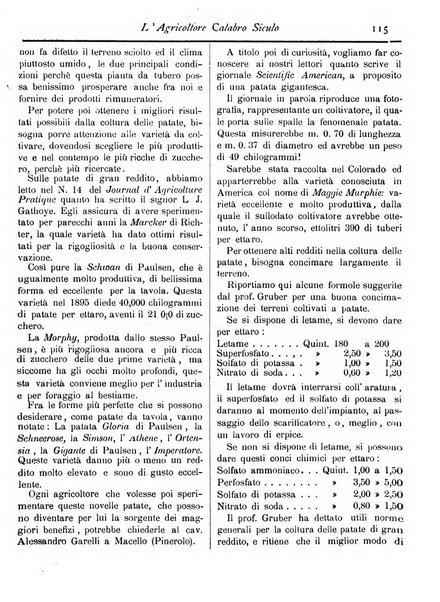 L'agricoltore calabro siculo giornale di agricoltura pratica