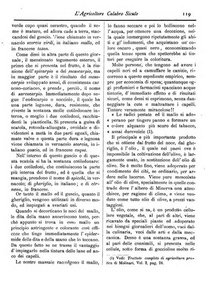 L'agricoltore calabro siculo giornale di agricoltura pratica