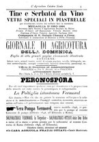 giornale/CFI0425650/1896/unico/00000185