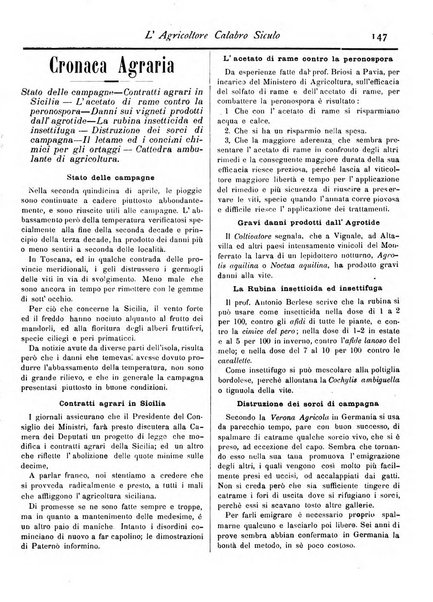 L'agricoltore calabro siculo giornale di agricoltura pratica