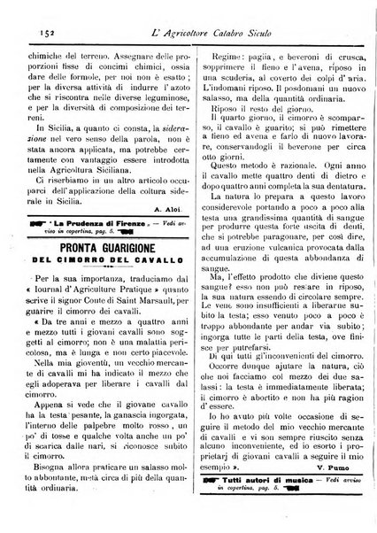 L'agricoltore calabro siculo giornale di agricoltura pratica