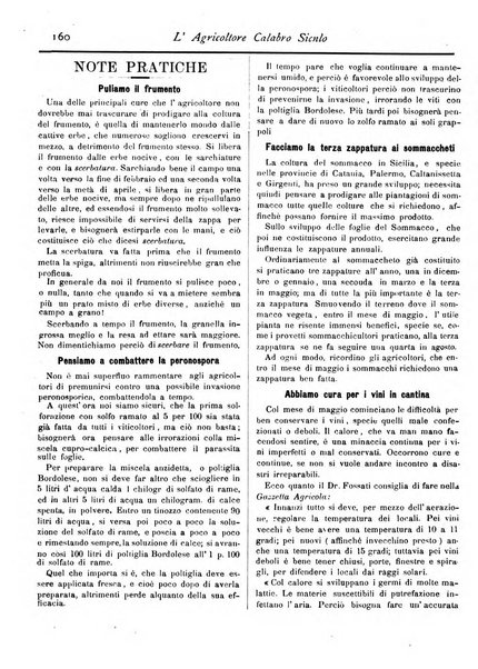 L'agricoltore calabro siculo giornale di agricoltura pratica