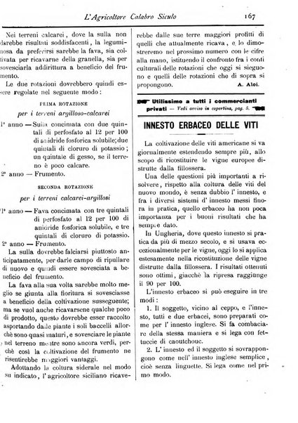 L'agricoltore calabro siculo giornale di agricoltura pratica