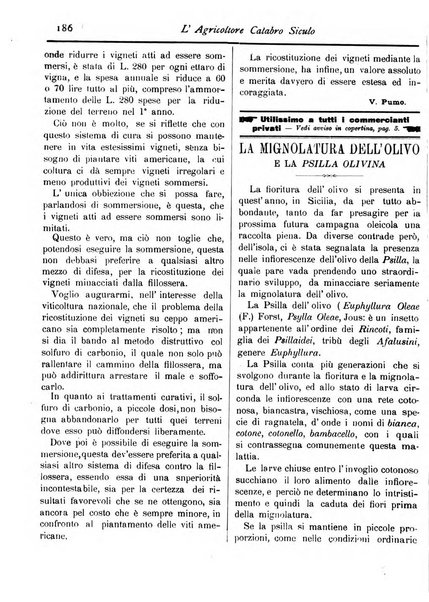 L'agricoltore calabro siculo giornale di agricoltura pratica