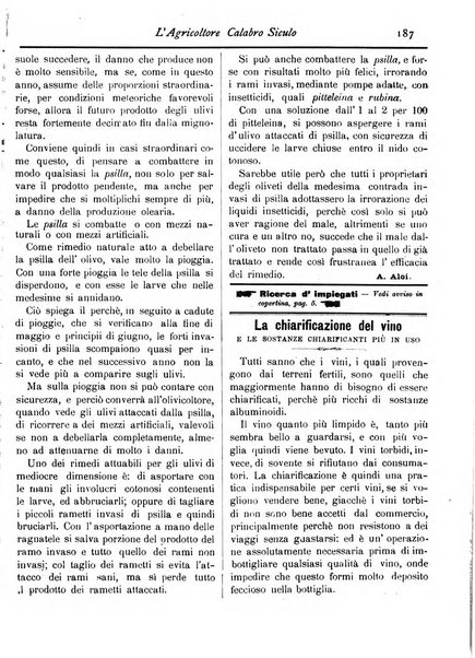 L'agricoltore calabro siculo giornale di agricoltura pratica