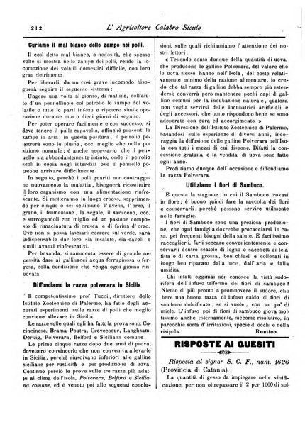 L'agricoltore calabro siculo giornale di agricoltura pratica