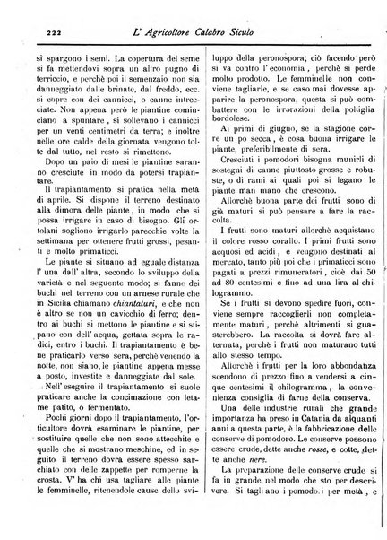 L'agricoltore calabro siculo giornale di agricoltura pratica