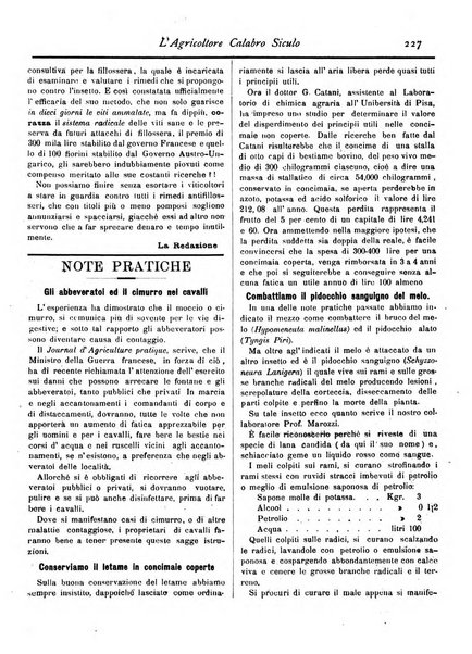 L'agricoltore calabro siculo giornale di agricoltura pratica