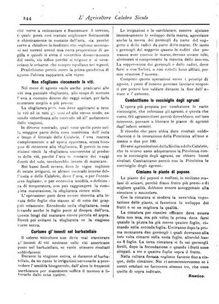 L'agricoltore calabro siculo giornale di agricoltura pratica