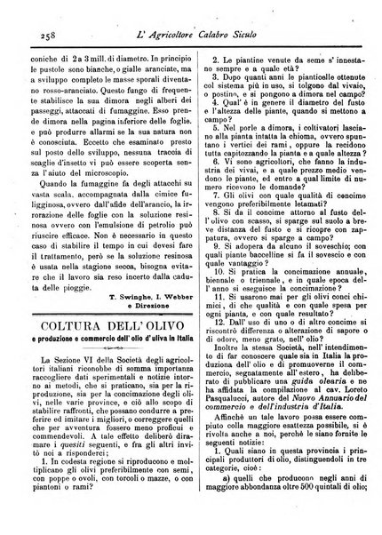 L'agricoltore calabro siculo giornale di agricoltura pratica