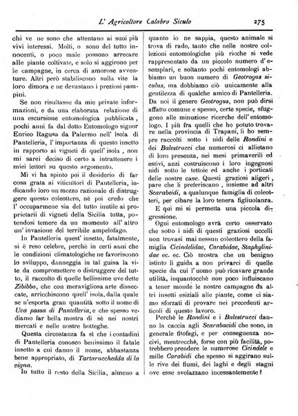 L'agricoltore calabro siculo giornale di agricoltura pratica