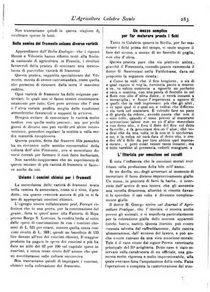 L'agricoltore calabro siculo giornale di agricoltura pratica