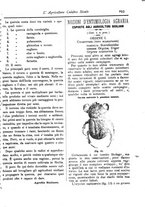 giornale/CFI0425650/1896/unico/00000433