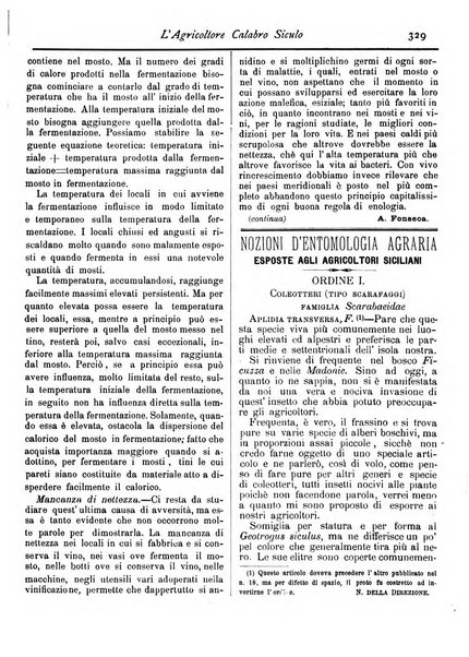 L'agricoltore calabro siculo giornale di agricoltura pratica