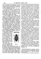 giornale/CFI0425650/1896/unico/00000486