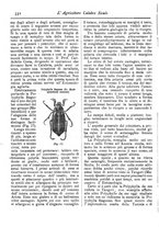 giornale/CFI0425650/1896/unico/00000488