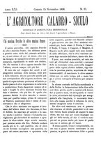 giornale/CFI0425650/1896/unico/00000533