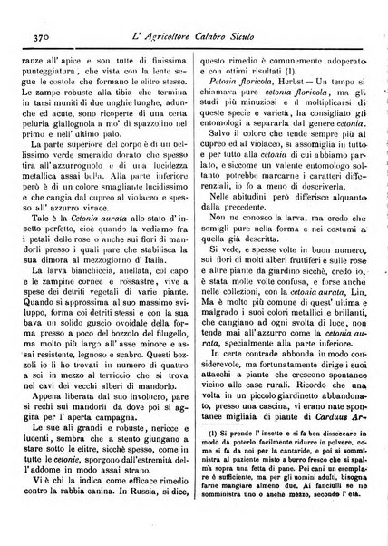 L'agricoltore calabro siculo giornale di agricoltura pratica