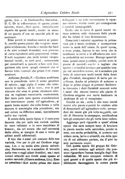 L'agricoltore calabro siculo giornale di agricoltura pratica