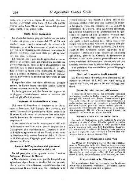 L'agricoltore calabro siculo giornale di agricoltura pratica