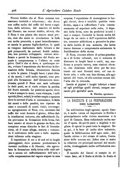 L'agricoltore calabro siculo giornale di agricoltura pratica