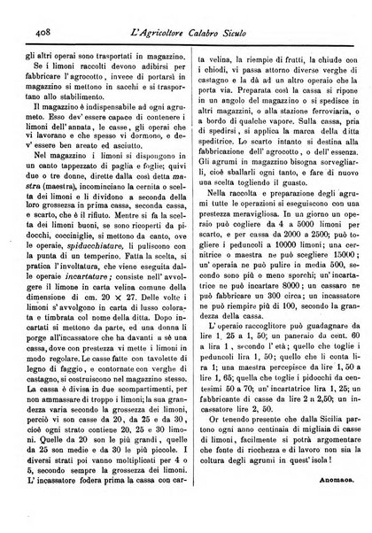 L'agricoltore calabro siculo giornale di agricoltura pratica