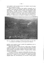 giornale/CFI0427275/1921/unico/00000101