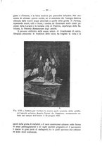 giornale/CFI0427275/1921/unico/00000107