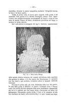 giornale/CFI0427275/1921/unico/00000111