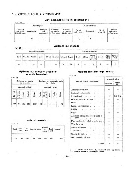 Ariminum rassegna di vita cittadina