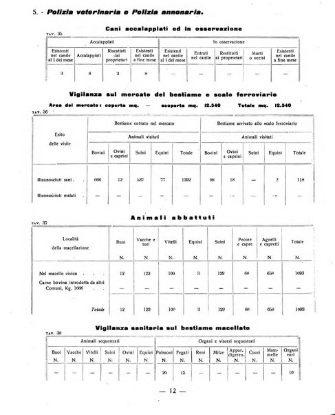 Ariminum rassegna di vita cittadina