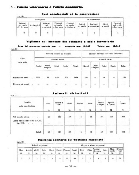 Ariminum rassegna di vita cittadina