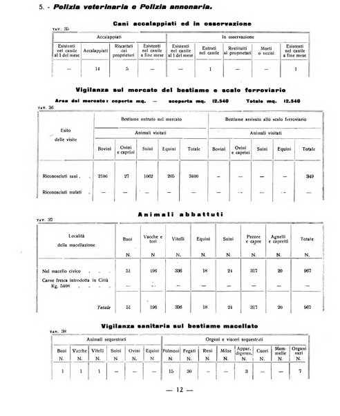 Ariminum rassegna di vita cittadina