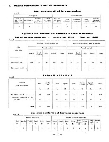 Ariminum rassegna di vita cittadina