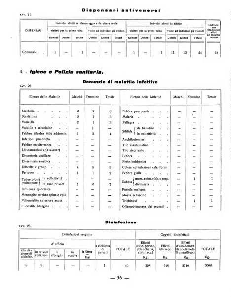 Ariminum rassegna di vita cittadina