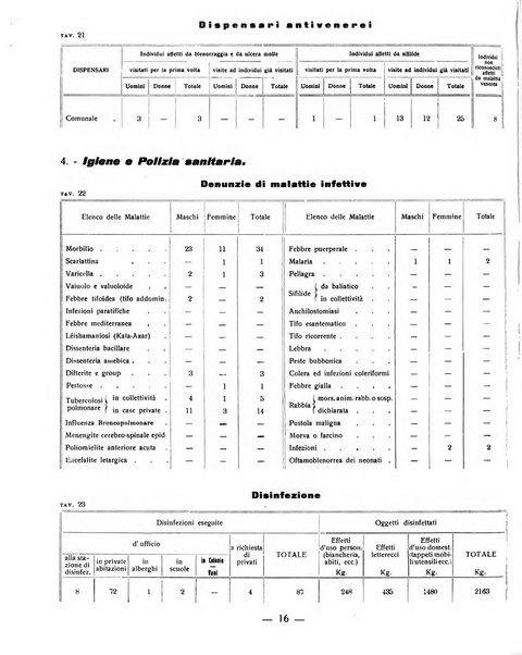 Ariminum rassegna di vita cittadina