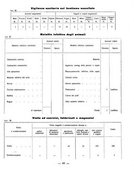 Ariminum rassegna di vita cittadina