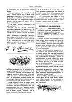 giornale/CFI0429159/1894/unico/00000019