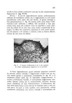 giornale/CFI0431612/1940/unico/00000201