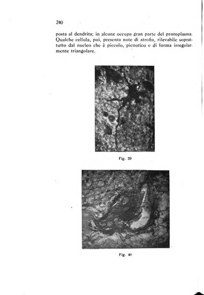 Annali di patologia tropicale e di parassitologia