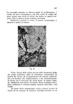 giornale/CFI0431612/1940/unico/00000285