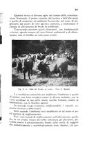 giornale/CFI0431612/1940/unico/00000355